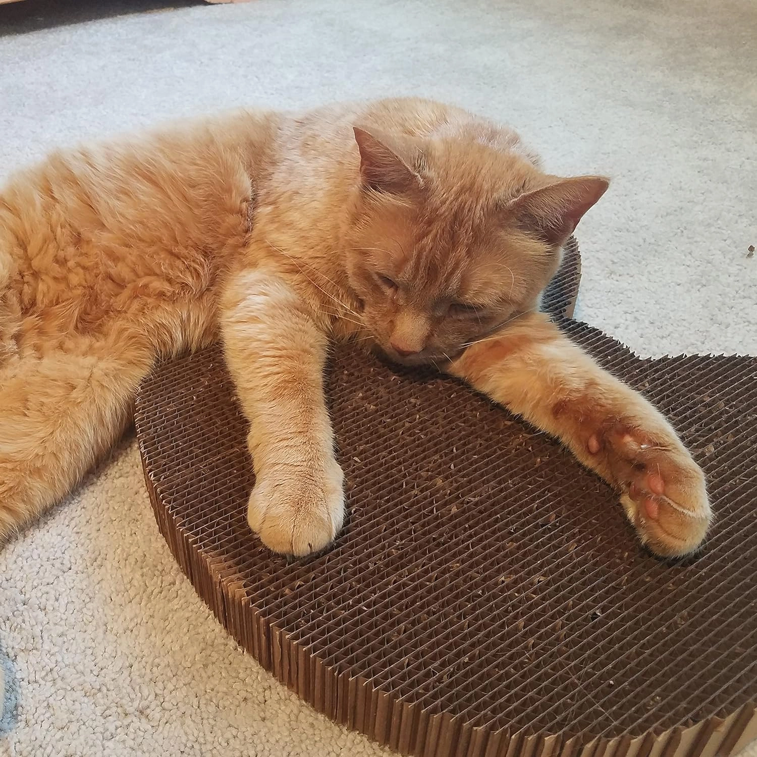 Cat Scratcher by Americat – Made in USA Cardboard Scratching Pad & Lounger – X Large, 2-Sided, Heavy, No-Shedding, Long-Lasting (Cat)