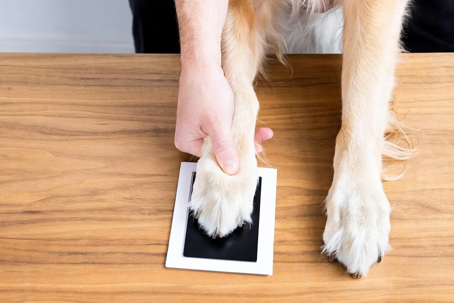 Pearhead 4-Pack Clean-Touch Ink Pad Kit, Mess-Free Inkless Hand and Footprint Kit, Baby Foot Printing Kit, Cat and Dog Paw Print Kit, Suitable for Babies and Pets